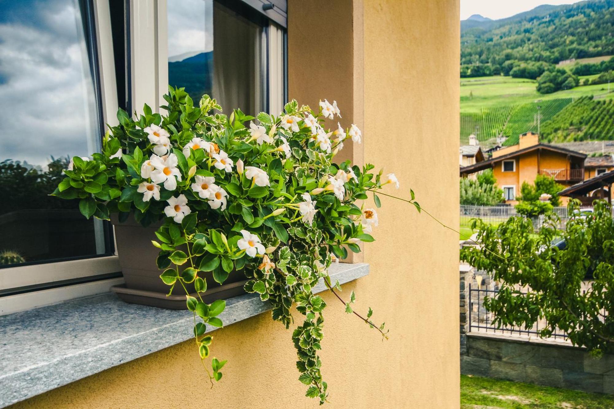 Apartment L'Envers Aosta Eksteriør bilde